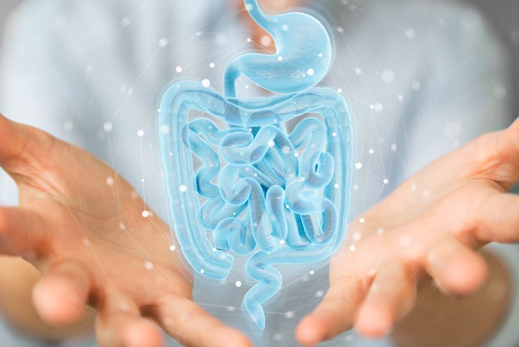 Impacto de la microbiota intestinal en la enfermedad cardiovasculas - EtioSalud