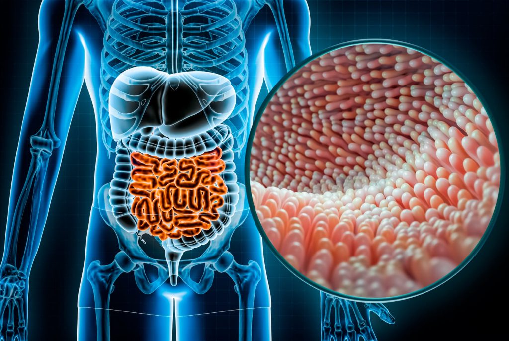 Microbioma y enfermedades cronicas - EtioSalud