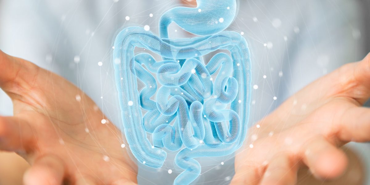 Impacto de la microbiota intestinal en la enfermedad cardiovasculas - EtioSalud